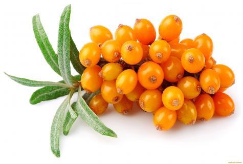 Whether it is possible a sea-buckthorn at pregnancy